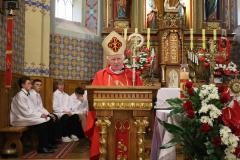 IMG_0849-Copy